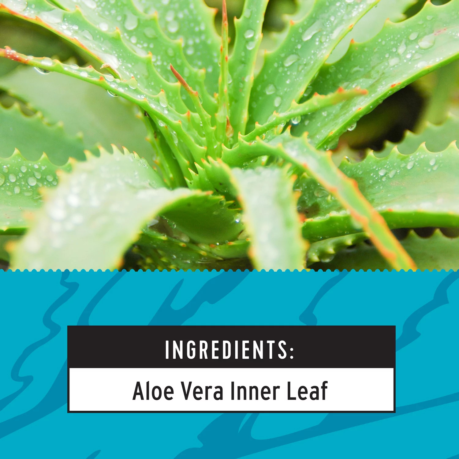 Pitaya Foods Frozen Aloe Bite Sized Pieces for Smoothies, 12oz, 1 Pk - Image 3