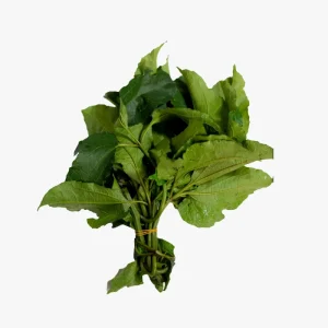 Ugwu Leaf
